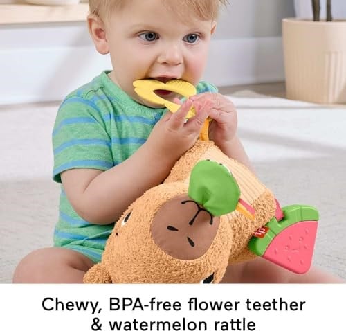 Fisher-Price 3 ay ve üzeri bebekler için Yumuşacık Obur Kapi duyusal gelişim oyuncağı, yenidoğanlar için dişlik ve çıngırak, HYR54