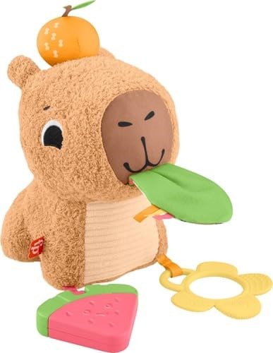 Fisher-Price 3 ay ve üzeri bebekler için Yumuşacık Obur Kapi duyusal gelişim oyuncağı, yenidoğanlar için dişlik ve çıngırak, HYR54