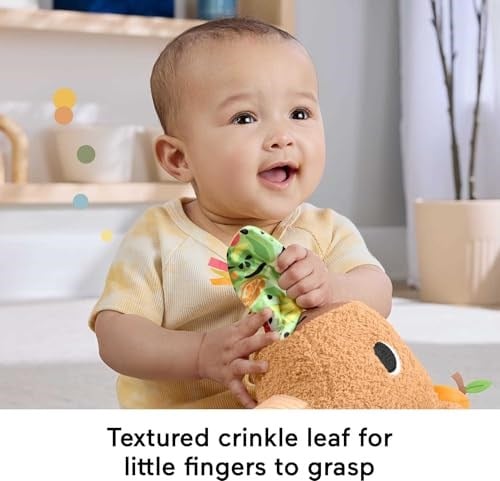 Fisher-Price 3 ay ve üzeri bebekler için Yumuşacık Obur Kapi duyusal gelişim oyuncağı, yenidoğanlar için dişlik ve çıngırak, HYR54