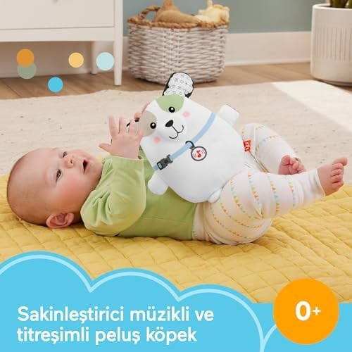 Fisher Price Sevimli Köpekçik Uyku Arkadaşı, yenidoğanlar için pelüş bebek oyuncağı ve taşınabilir ses makinesi, HTJ68 - Seçenekler: Köpekçik, Koala, Su Samuru, Tavşancık