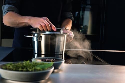 Fissler Phi Collection kızartma tavası (20 cm, 2,3 l), cam kapaklı, paslanmaz çelik, indüksiyonlu ocaklara uygun, enerji tasarruflu, bulaşık makinesinde yıkanabilir, üstün kalite, Almanyada