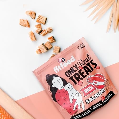 fitfeed Freeze-Dried Çiğ Somon Kedi Ödül Maması 40g