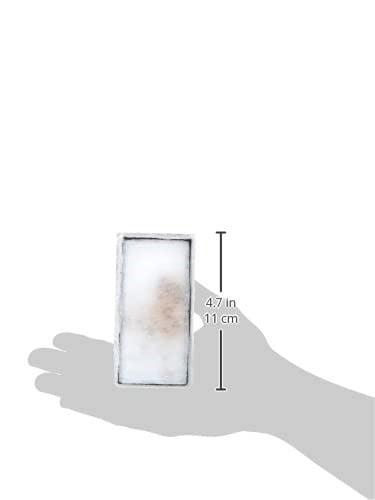Fluval Clearmax filtre parçası, fosfat, nitrit ve nitrat emilimi için birinci sınıf reçineli, Fluval iç filtre U2, 2li paket - Seçenekler: U2, 2-er Pack, U3, 2er Pack