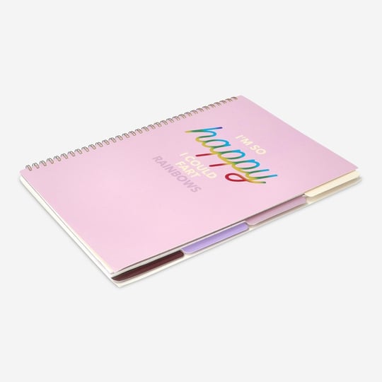 Flying Tiger Copenhagen Bölümlü 80 Yaprak Çizgili A4 Defter
