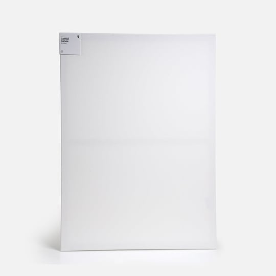 Flying Tiger Copenhagen Kanvas Tuval 65 cm x 90 cm