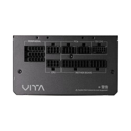 FSP Model VITA-850GM