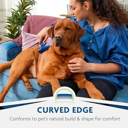Furminator Undercoat deShedding büyük köpekler için alet, uzun saç, mavi, 250 g (tekli paket)