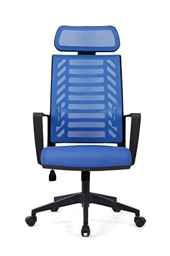 Gardena Mavi Pls Makam Koltuğu Ofis Koltuğu