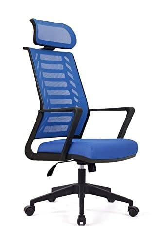 Gardena Mavi Pls Makam Koltuğu Ofis Koltuğu