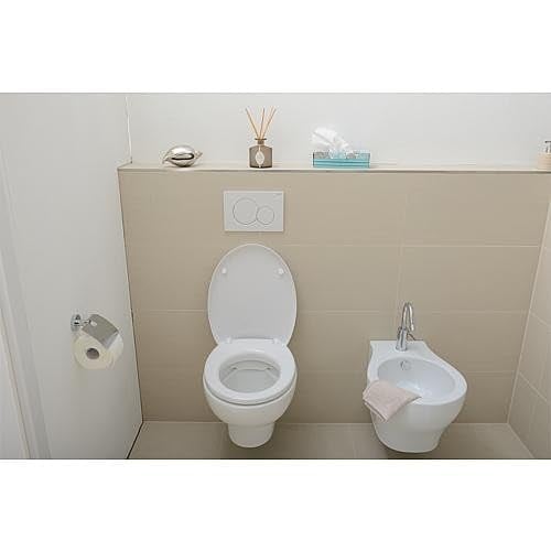 Geberit 115770115 Sigma01 tetikleme plakası, 2 miktarlı yıkama için plastik 1 adet