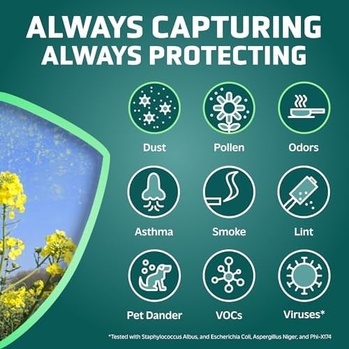 Germ Guardian FLT48254PK GermGuardian FLT4825 HEPA yedek filtre B, AC4825E, AC4300BPTCA, AC4850PT, AC4900CA, CDAP4500BCA, CDAP4500WCA hava temizleyici, 4 adet, gri, siyah