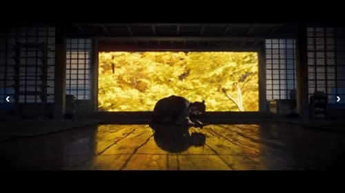 Ghost of Tsushima: Directors Cut (İngiltere/Arapça)