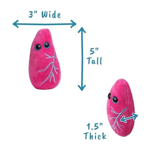 GIANT MICROBES Giantmicrobes Akciğer Pelüş – Eğitici Anatomik Peluş Organ, İyi Geçmiş Hediye – Aile, Arkadaşlar, Bilim Adamları, Öğrenciler, Eğitimciler, Doktorlar ve Nefes Almayı Seven Herkes için Eğ