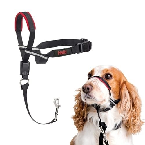 Halti Optifit Baş Tasması - Dolgulu Burun Bandı, Ayarlanabilir ve Yansıtıcı, Orta Boy Köpekler için Profesyonel Çekme Önleyici Eğitim Yardımcısı (M Boy)