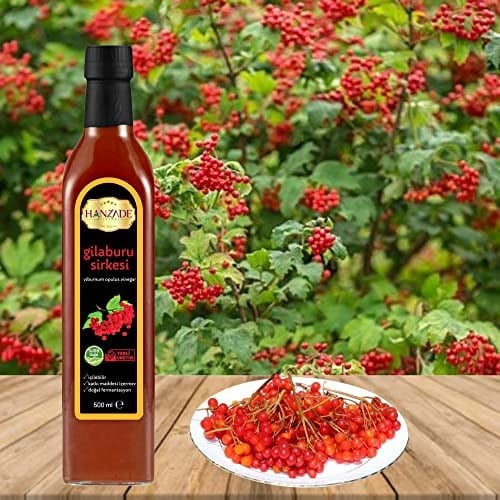 Hanzade Bitkisel Gilaburu Sirkesi 500 ML x 2 Adet Doğal Fermantasyon İçilebilir Katkısız Cam Şişe