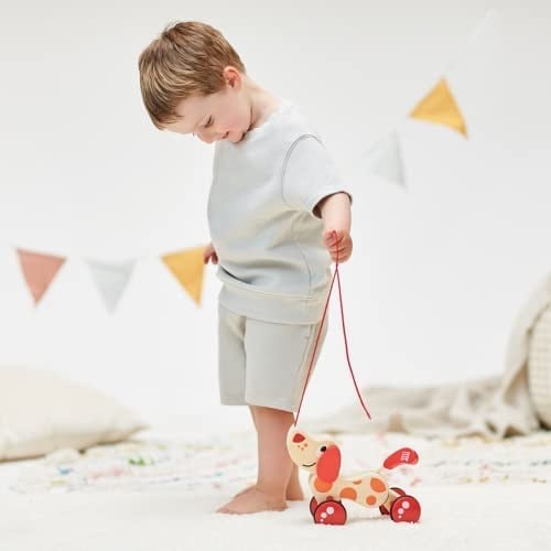 Hape Pepe ve Arkadaşları Çek Çek