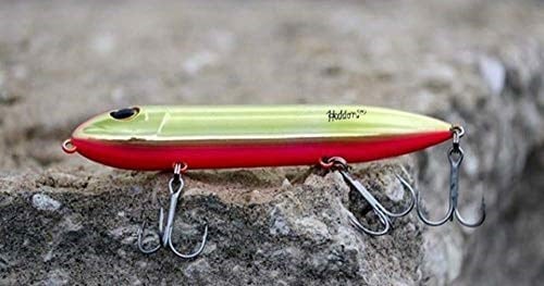 Heddon Super Spook Topwater Fishing Lure for Saltwater and Freshwater - Seçenekler: 5-Inch, SIZE: 6-Foot