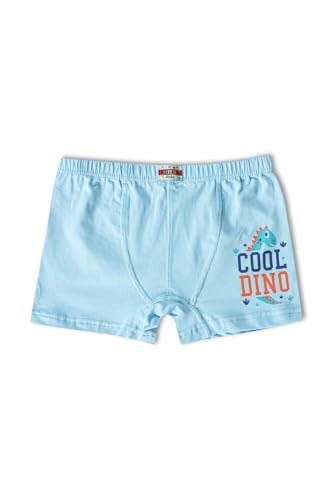 HNX UNDERWEAR 6lı Pamuklu Baskılı Erkek Çocuk Boxer Külot Karışık-3 10-11 Yaş hnxNM763