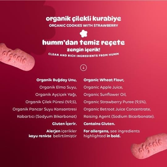 Humm Organic Organik Vegan Çilekli Kurabiye - 55g