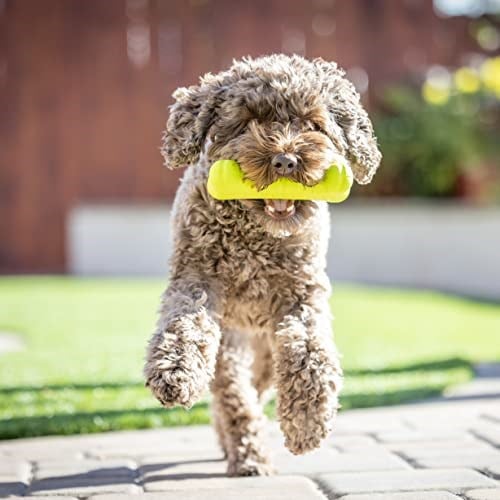 Hyper Pet EVA Köpük Kemik Köpek Oyuncağı – Hafif & Dayanıklı – Suda Yüzen & Kolay Temizlenen Getir-Bırak Oyuncağı (2 paketi) - Seçenekler: Pack of 2, One Size (2 paketi), EVA-STICK, One Size, Kemik...