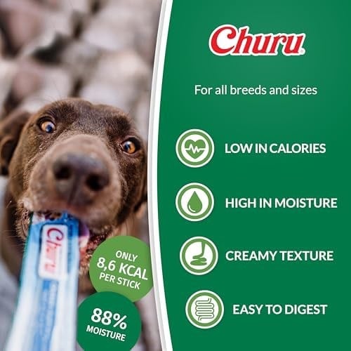 Inaba Ciao Churu Somon Aromalı Tavuklu Köpek Ödül Maması Atıştırmalığı 8x20 gr