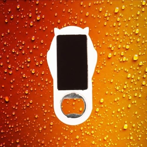 İsviçre Temalı Baykuş Magnet Kapak Açacak