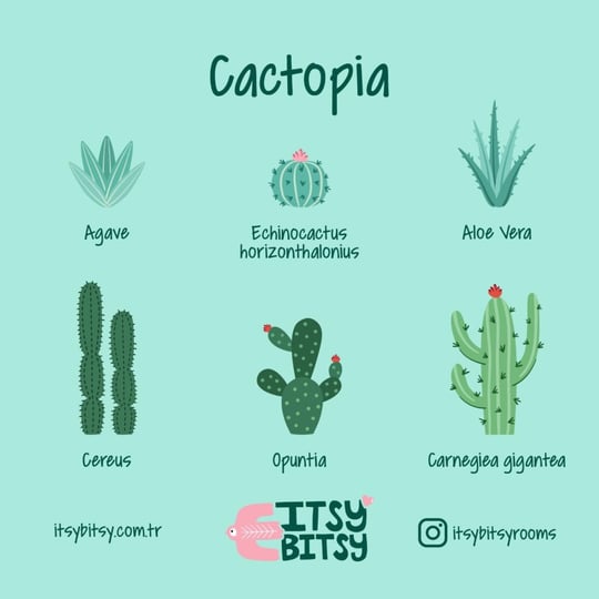 Itsy Bitsy Kids Cactopia Tavan Aydınlatması, Çok Renkli , 40cm