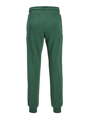 JACK & JONES JPSTGORDON JJSWIFT SWEAT PANTS Pantolon Erkek