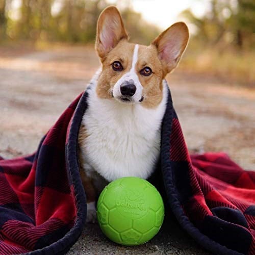 Jolly Pets-Jolly Evcil Orta Futbol Topu Yüzer-Zıplayan Köpek Oyuncak, 6 inç Çap, elma yeşili