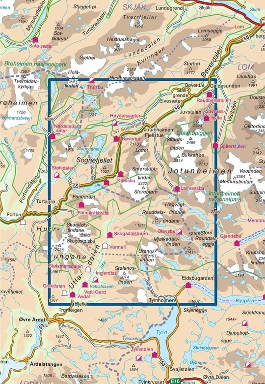Jotunheimen Vest