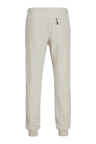 JPSTGORDON MATTY SWEAT PANTS TAŞ taş l