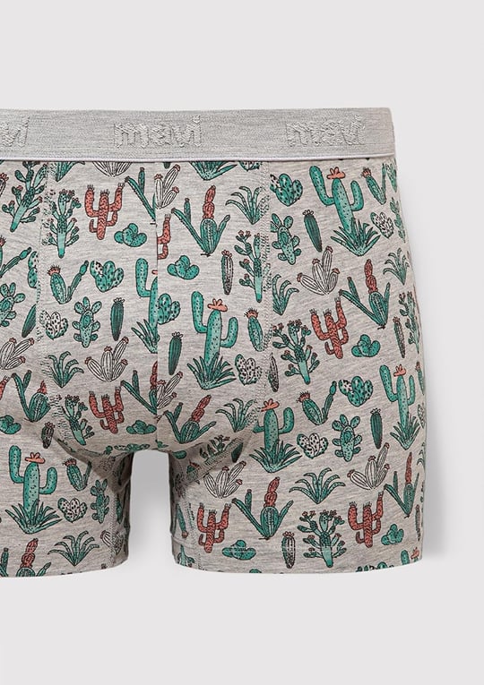 Kaktüs Desenli Gri Boxer 091122-23854