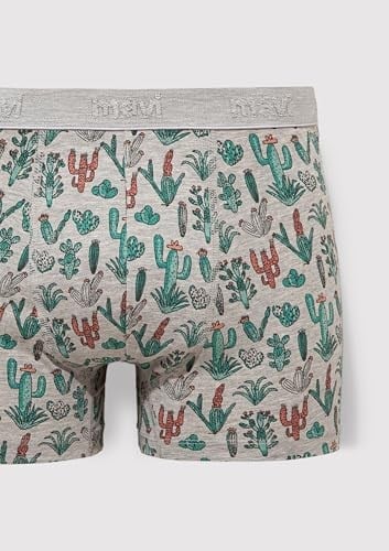 Kaktüs Desenli Gri Boxer 091122-23854