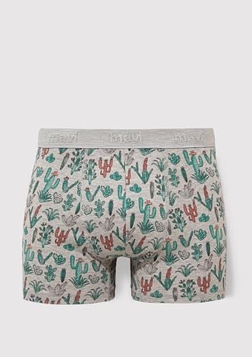 Kaktüs Desenli Gri Boxer 091122-23854