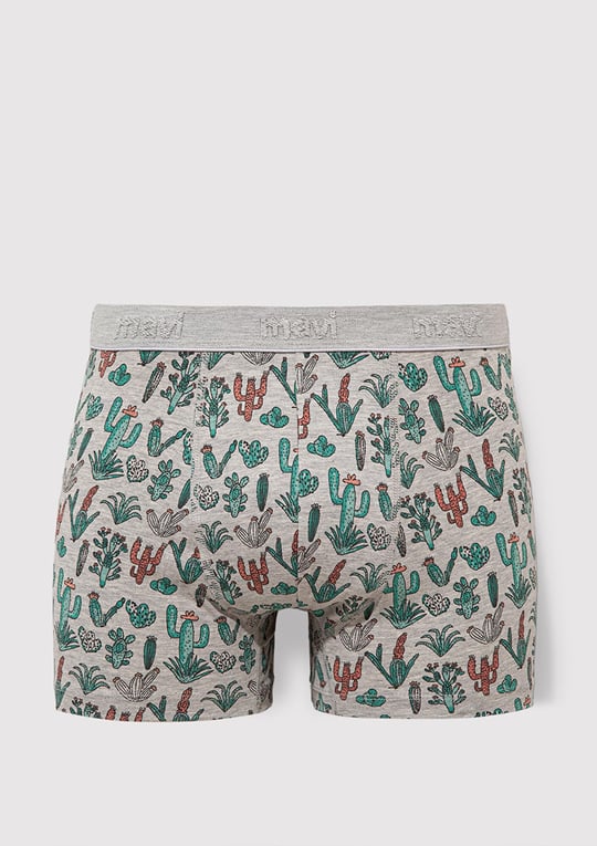 Kaktüs Desenli Gri Boxer 091122-23854