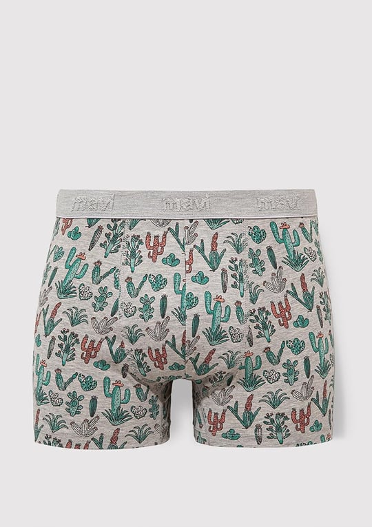 Kaktüs Desenli Gri Boxer 091122-23854