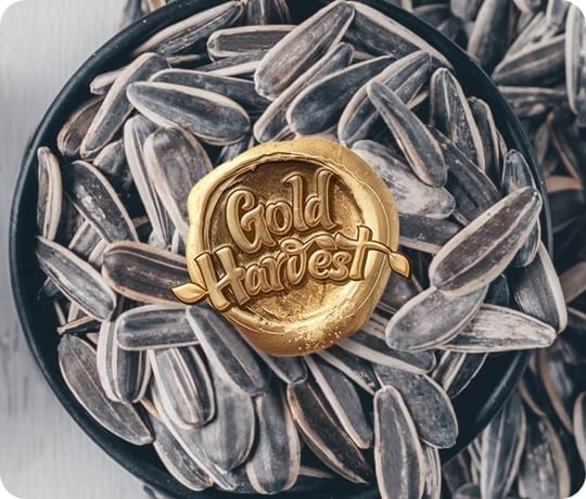 Kara Sevda Bol Tuzlu Siyah Ayçekirdeği 250 gr