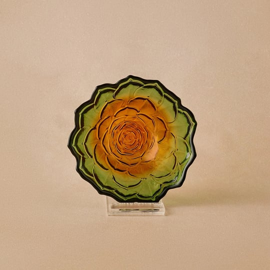 Karaca Sukulent Çerezlik 10 cm