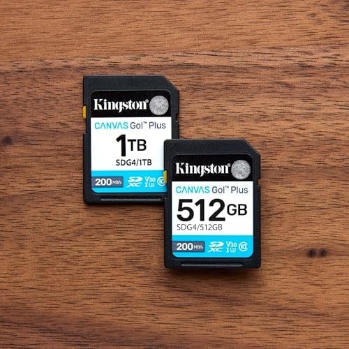 Kingston 64GB Canvas Go Plus SD Card | Up to 200MB/s | Class 10, UHS-I, U3, V30 | SDG4/64GB