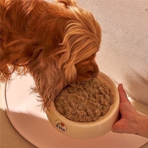 Kito Fresh Dana Etli Köpek Yemeği%100 Taze İçerikli Mama 250 gr (4 paketi)