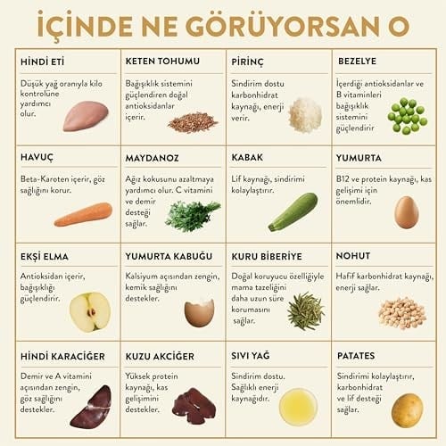 Kito Fresh Hindi Etli Köpek Yemeği%100 Taze İçerikli Mama 250 gr (4 paketi)