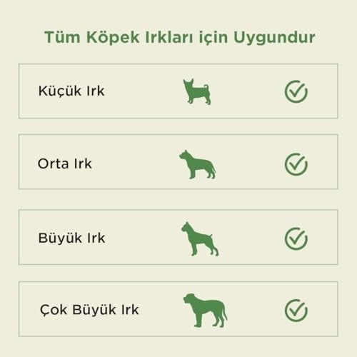 Kito Kurutulmuş Dana Kelle Derisi Çiğnemelik Köpek Ödül Maması%100 Doğal, Glutensiz, Organik 100 gr (Dog Treat)