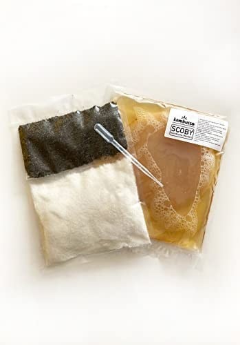Kombuçça Organik Başlangıç Kiti Mantarı SCOBY - Kombu Çayı - Kambuça Kültürü Mayası