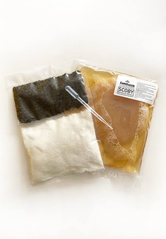 Kombuçça Organik Başlangıç Kiti Mantarı SCOBY - Kombu Çayı - Kambuça Kültürü Mayası