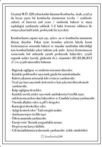 KOMBUCHA 2200 ANANAS-HİBİSKUS 330 ML. 6LI PAKET (ANANAS-HİBİSKUS 330 ml.)