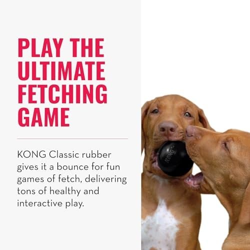 Kong 6.5 cm S Extreme Top Köpek Oyuncağı