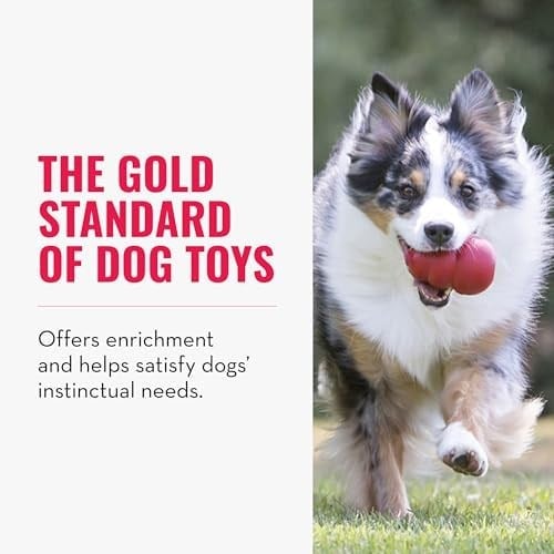 KONG - Klasik Köpek Oyuncağı - Dayanıklı Doğal Kauçuk - Çiğnemek, Kovalamak ve Getirmek İçin Eğlenceli - Ekstra Büyük Köpekler için
