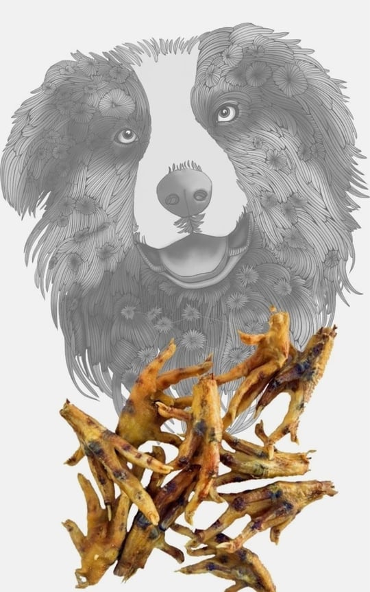Köpekler için Sirius Kurutulmuş Tavuk Ayakları | Tamamen Doğal Tek Bileşenli Köpek Bakımı | Sağlıklı Eklemler İçin Glukozamin ve Kondroitin açısından zengin (10lu Paket)