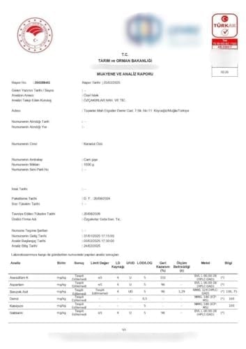 Köyceğiz Yöresel Karadut Özü 1000 G