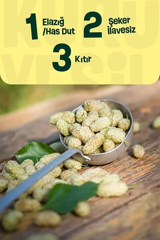 Kuru Yeşil Doğal Beyaz Dut Kurusu 150 gr - Şekersiz ve Katkısız, Geleneksel Yöntemlerle Kurutulmuş, Süper Gıda, Doğal Enerji Kaynağı, Vegan ve Glutensiz Kuru Meyve